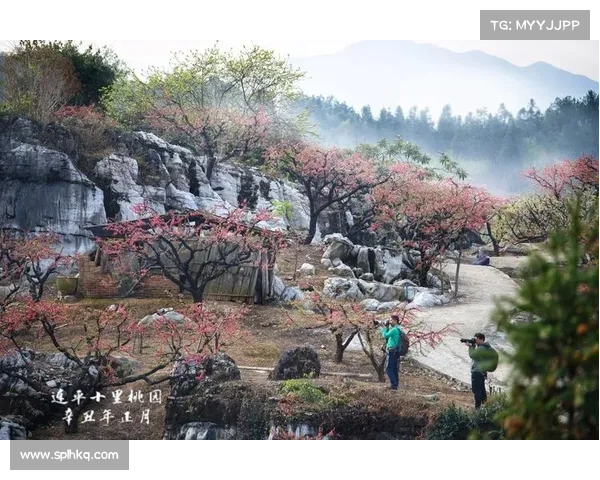 桃园列传攻略-桃园传说下载:揭秘桃园英杰招募秘诀:桃园列传攻略大全 桃园列传攻略-桃园传说下载:揭秘桃园英杰招募秘诀:桃园列传攻略大全